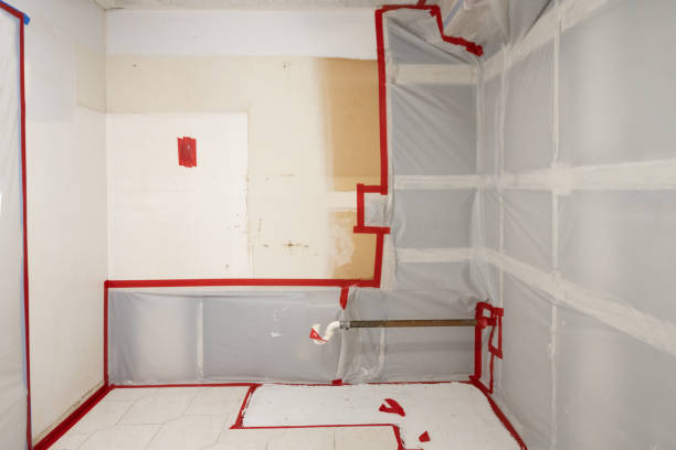 Best Emergency Mold Remediation  in Manitou Beach Devils Lake, MI