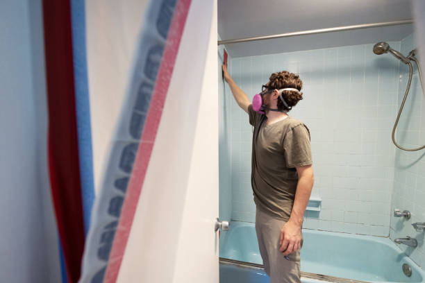  Manitou Beach Devils Lake, MI Mold Removal Pros