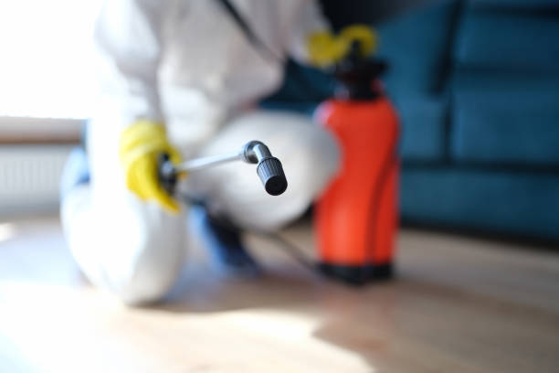Best Residential Mold Inspection & Testing  in Manitou Beach Devils Lake, MI