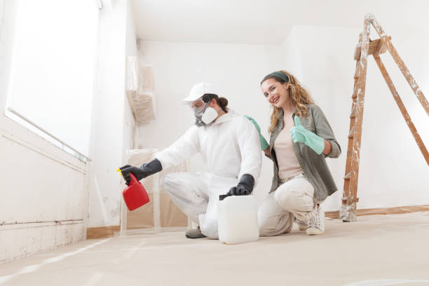 Best Black Mold Removal  in Manitou Beach Devils Lake, MI